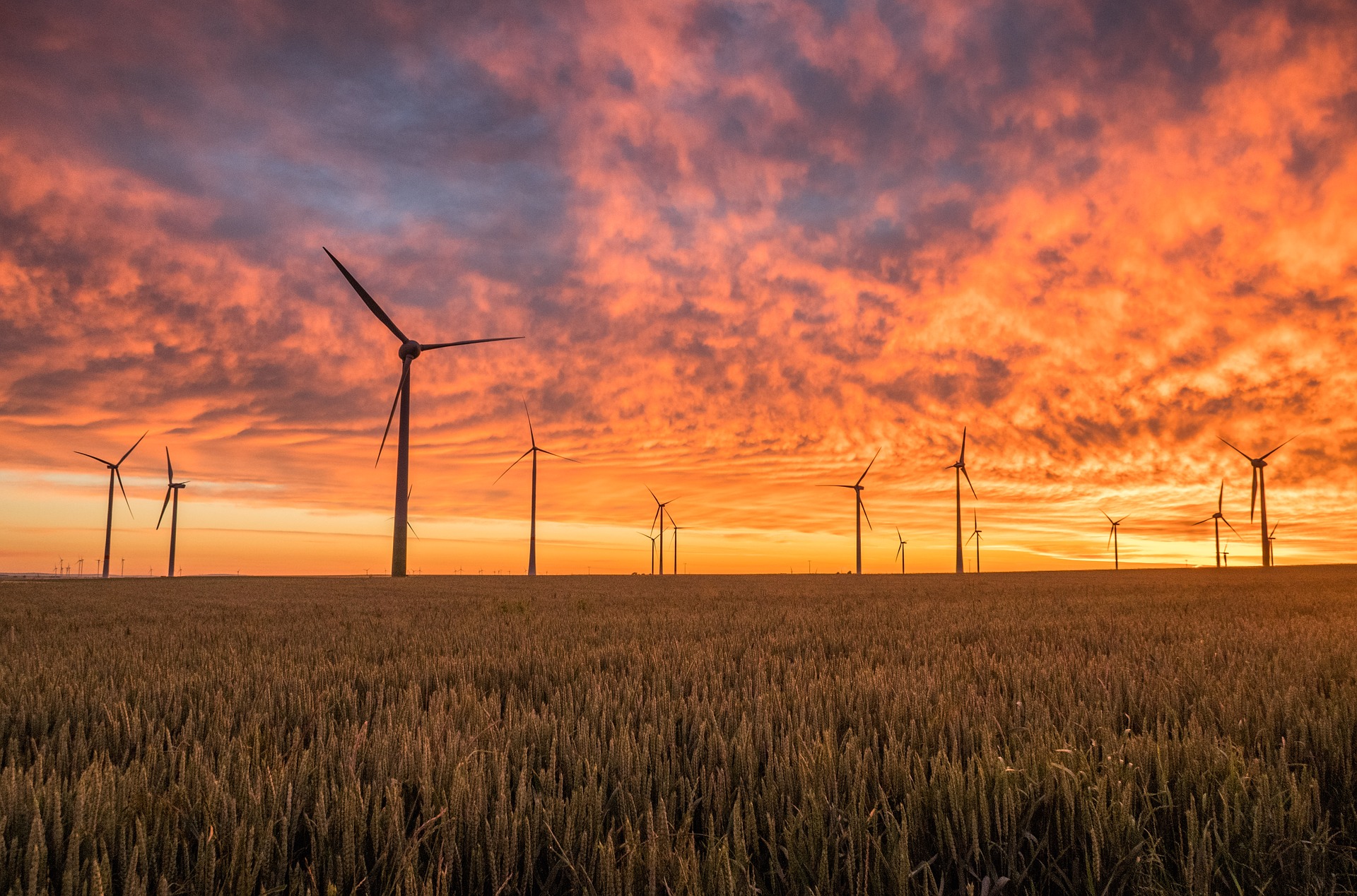 Texas Commercial Electricity Provider STAT Energy